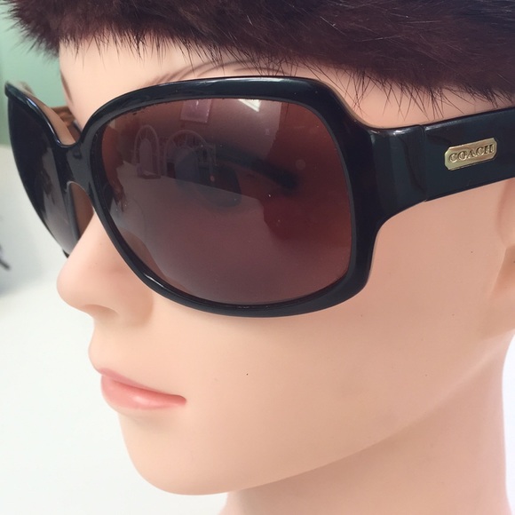 Coach Sunglasses Ginger main image 5